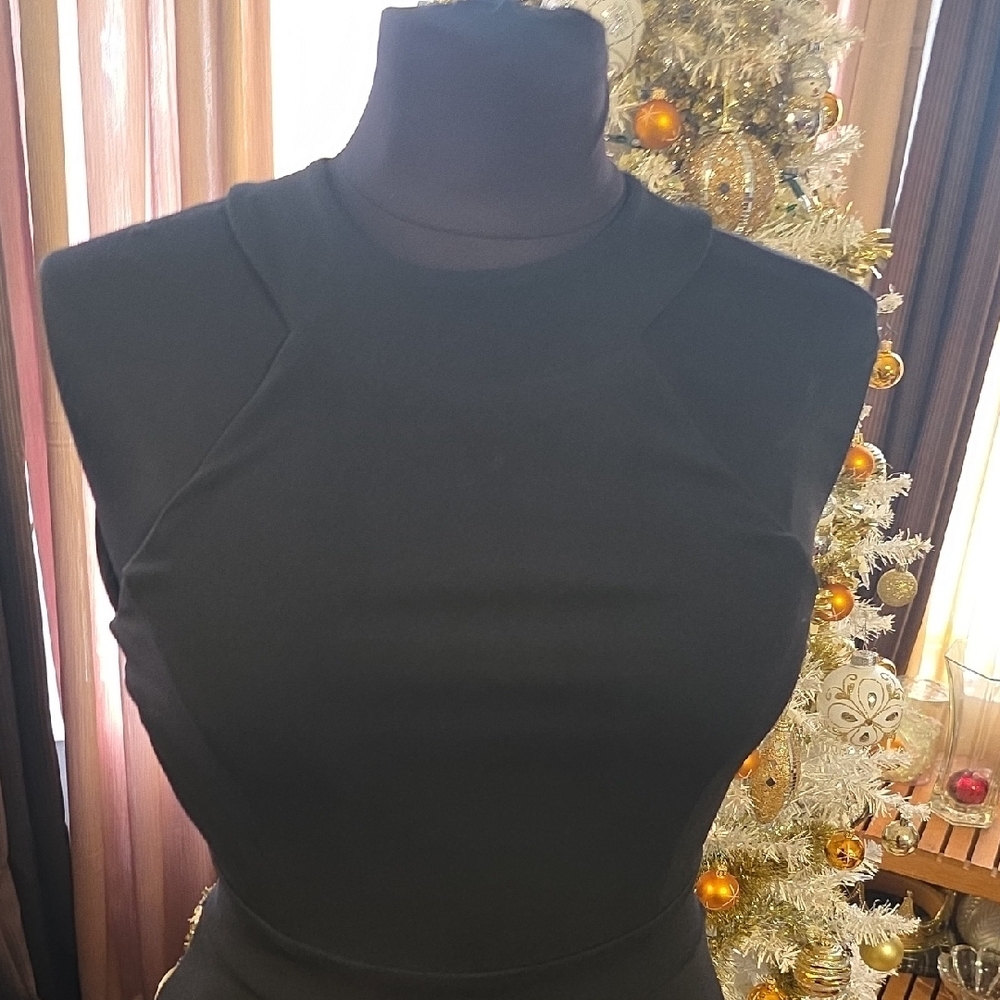 Elegant Black Mini Dress - Picture 3 of 16